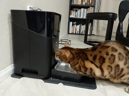 Pet Automatic Feeder